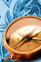 An egg and money in a bird's nest with at $1 bill in the background