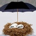 Are your retirement funds covered?