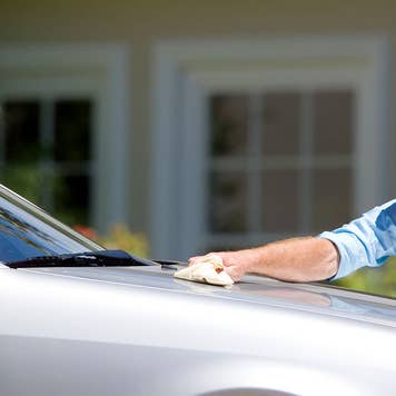 Man waxing car