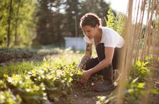 Woman working in the vegetable garden