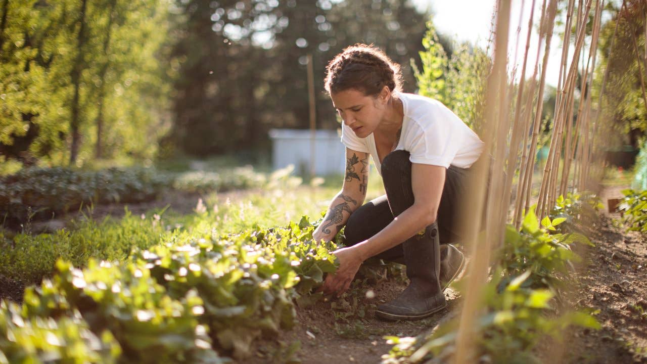 Woman working in the vegetable garden