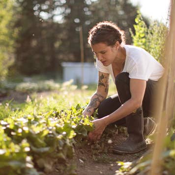 Woman working in the vegetable garden