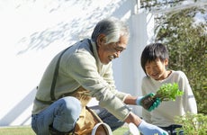 A grandfather and his grandson spend some quality time together gardening.