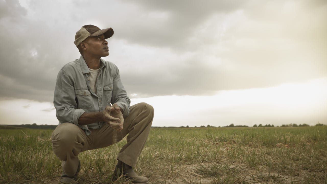 An African American farmer crouches in a devastated patch of farmland after a disaster.