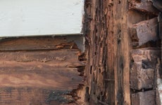 Close-up of exposed wood outside of a house and termite damage.