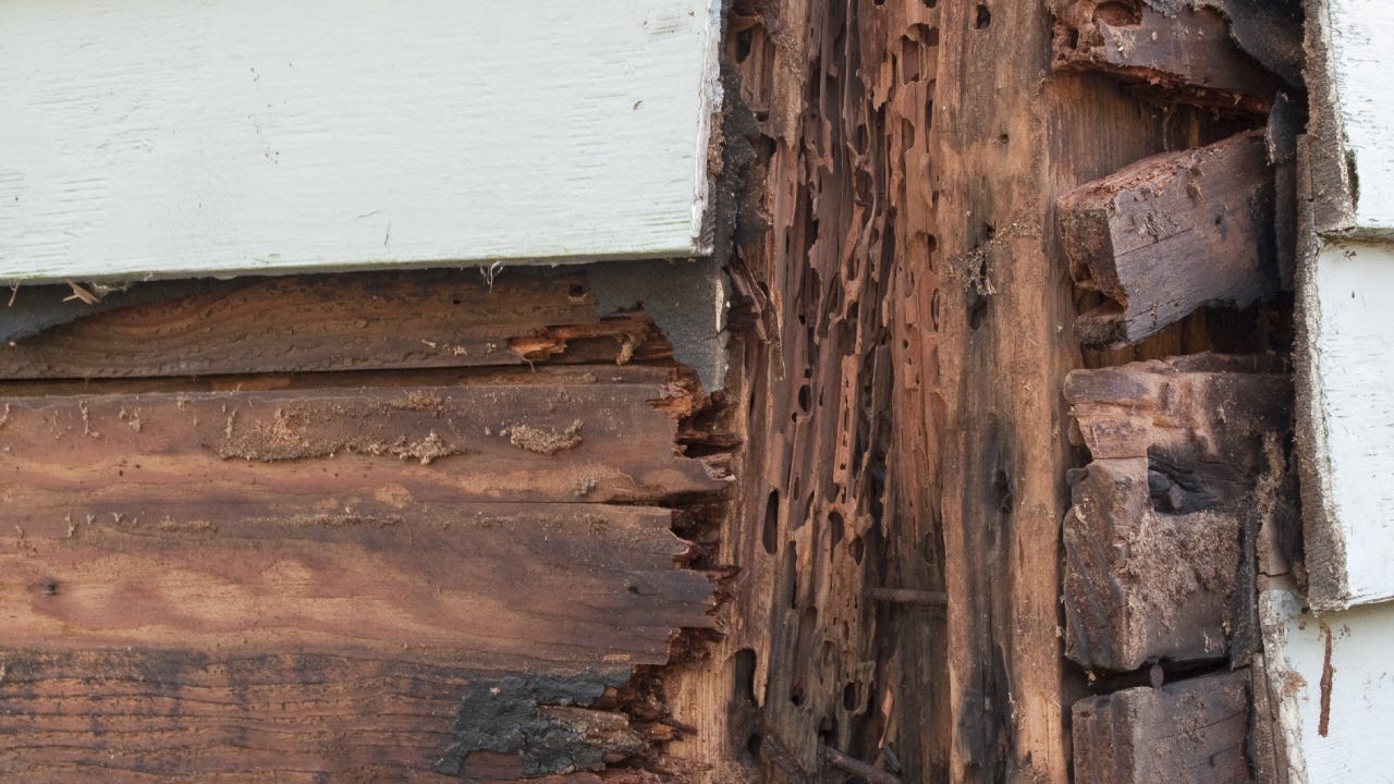 Close-up of exposed wood outside of a house and termite damage.