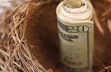 Roll of money in nest © martellostudio/Shutterstock.com