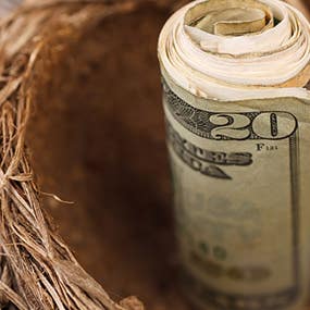 Roll of money in nest © martellostudio/Shutterstock.com