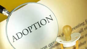 The costs of adoption vs. surrogacy