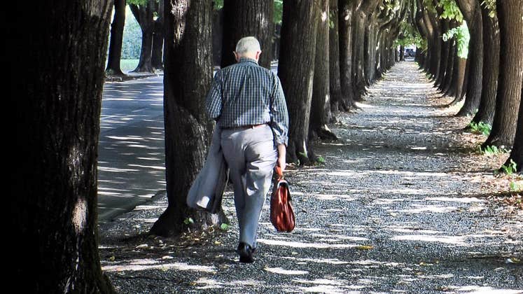 Senior businessman walking tree lined path © Martin M303/Shutterstock.com