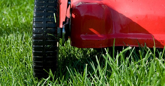 52 weeks of saving: Mow your own lawn and save