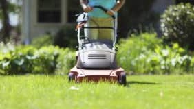 Savings challenge: Mow your own lawn