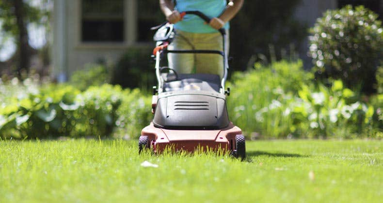 Woman mowing grass with electric mower