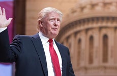 Donald Trump and your wallet | Christopher Halloran/Shutterstock.com