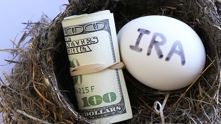 IRA nest egg with roll of cash © Don Mammoser/Shutterstock.com