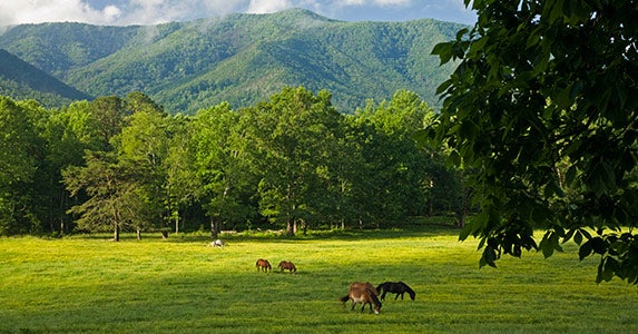 Great Smoky Mountains National Park © iStock
