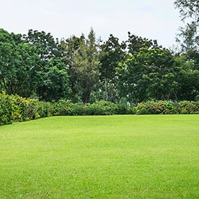 Empty land © Byjeng/Shutterstock.com