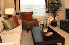 Living room furniture and TV © Neil Podoll/Shutterstock.com