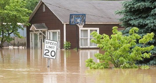 Flooded neighborhood speed limit sign and trees submerged © Tony Campbell/Shutterstock.com