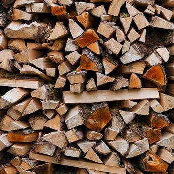 Stacked firewood