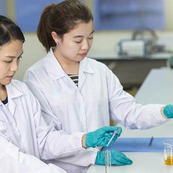 Two chemists measuring liquids | MeemiePhoto/Shutterstock.com
