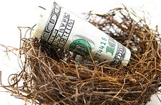 Nest with money © zimmytws - Fotolia.com