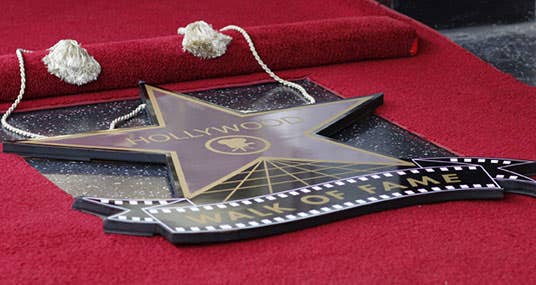 Star Hollywood Walk of Fame © Joe Seer/Shutterstock.com