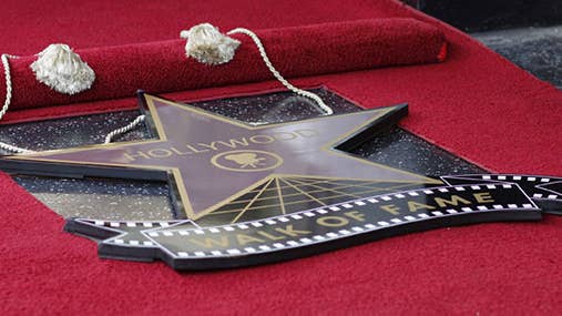 Star Hollywood Walk of Fame © Joe Seer/Shutterstock.com