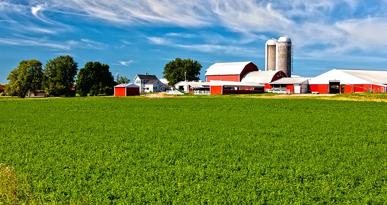 Farm © Stuart Monk/Shutterstock.com