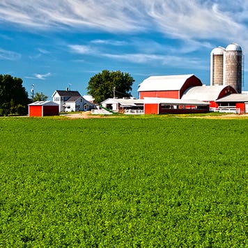 Farm © Stuart Monk/Shutterstock.com
