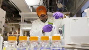 Worker with chemicals