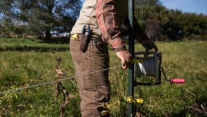 Need an electric fence? Don’t get zapped by the cost