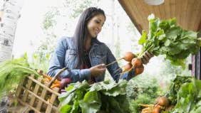 52 weeks of saving: See if an organic veggie club means savings by the bunch