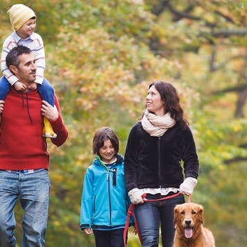 Family walking dog in woods