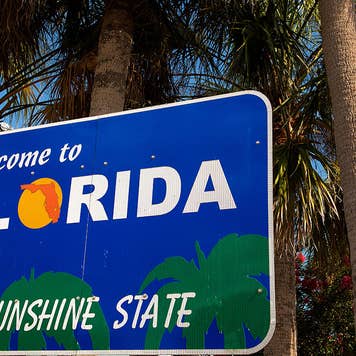 A "Welcome to Florida" sign stands in front of a palm tree