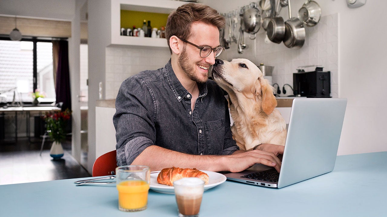 Man working on computer with dog