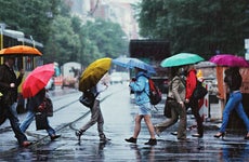 Americans crossing the street in the rain