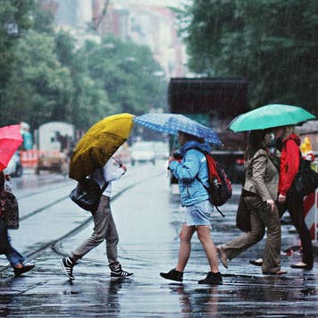 Americans crossing the street in the rain