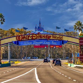 Entry to Disney World
