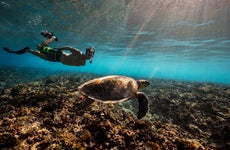 Man snorkling with a sea turtle on summer vacation