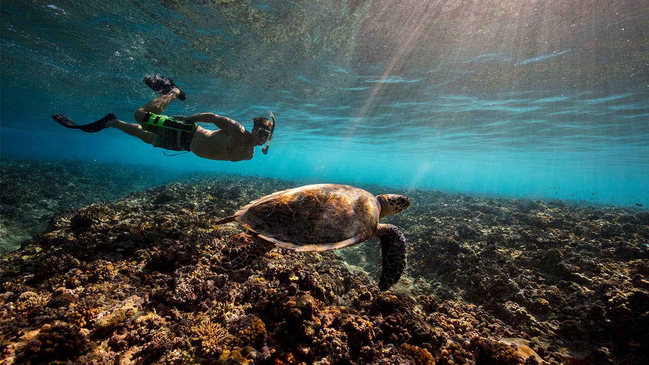 Man snorkling with a sea turtle on summer vacation