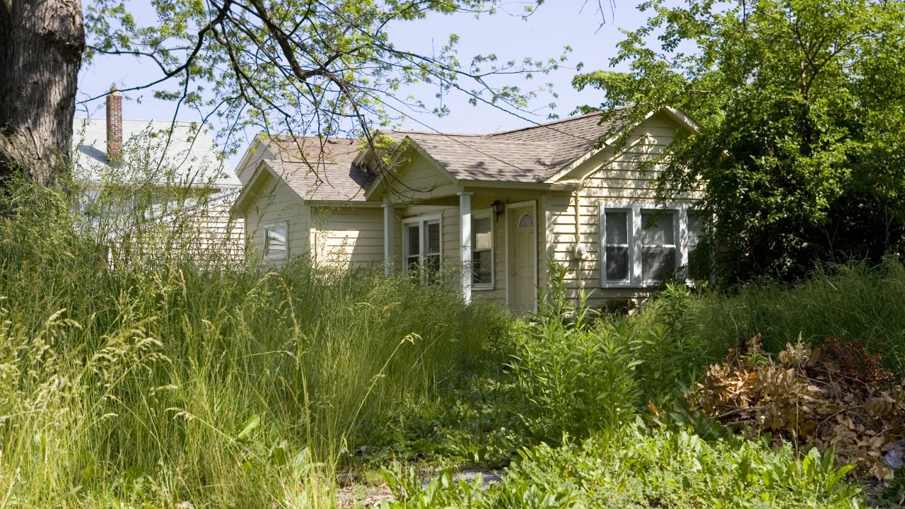 A house with overgrown grass and weeds
