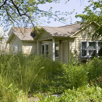 A house with overgrown grass and weeds