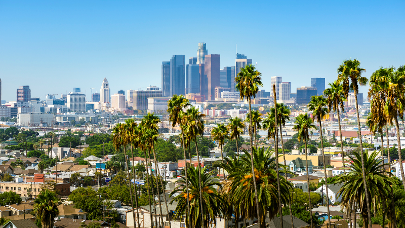 view of Los Angeles, CA city skyline with palm trees