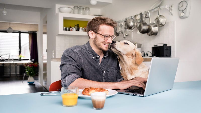 A man uses his laptop at home while a dog tries to lick him