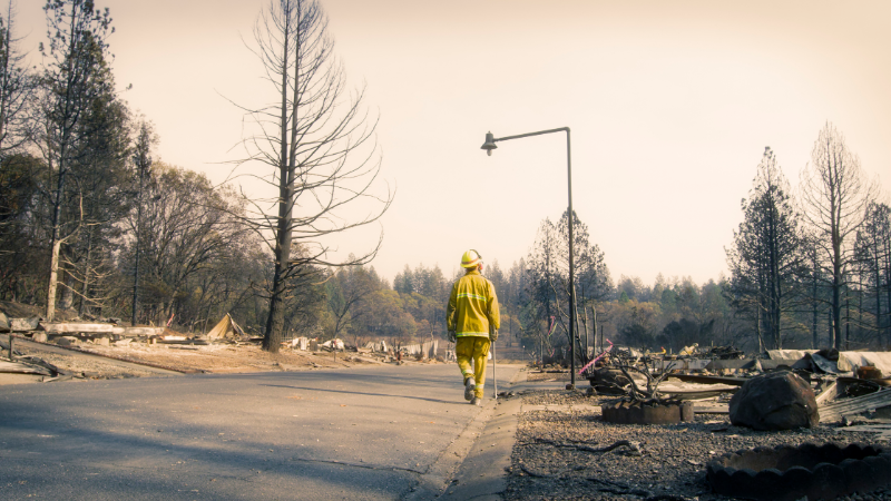 Fire fighter walking along a street where every home burned to the ground