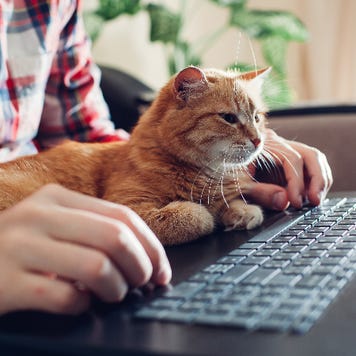 A man researches online.