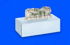 Custom image with tissue box and dollar bill