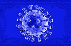 A picture of the coronavirus on a blue background