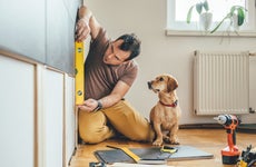 Man works on home renovation while dog watches.